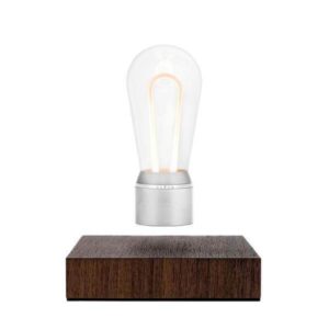 Flyte store Flyte Nikola