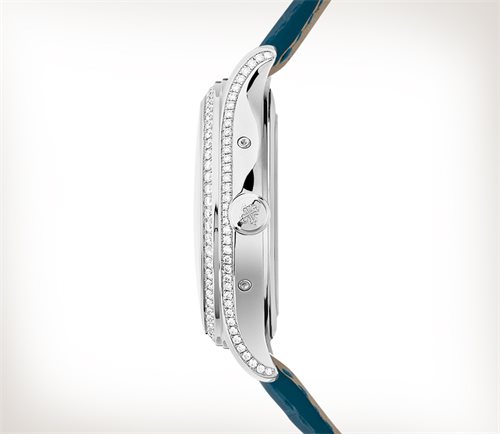 Patek Philippe Complications Watch
