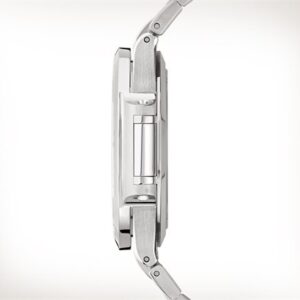 Patek Philippe Nautilus Watch