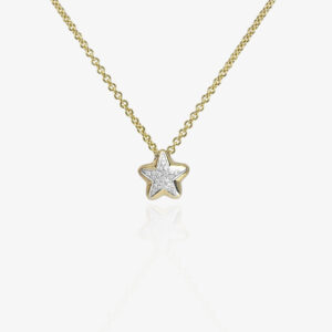 Leopizzo E-Boutique Star Necklace