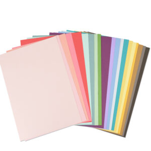 Accessory Cardstock Sheets 80PK (20 Colours)